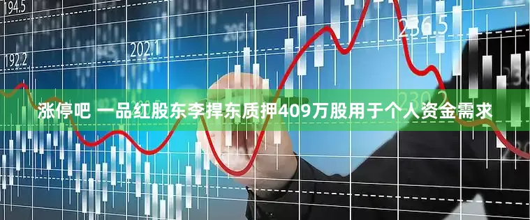 涨停吧 一品红股东李捍东质押409万股用于个人资金需求